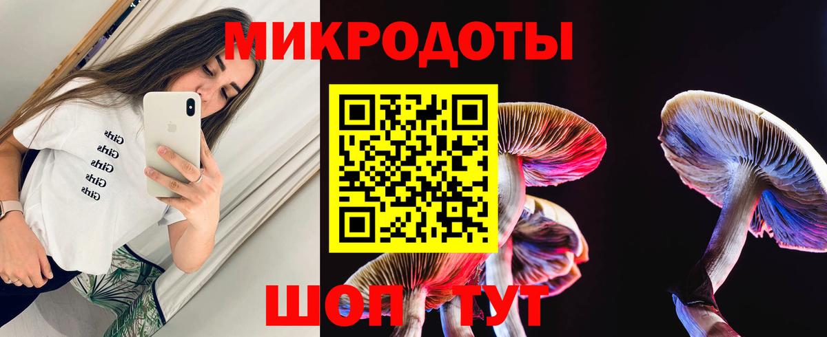 Псилоцибиновые грибы MAGIC MUSHROOMS Каменск-Шахтинский